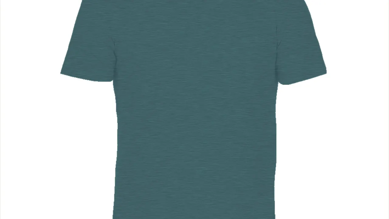 Anvil tri-blend t-shirt